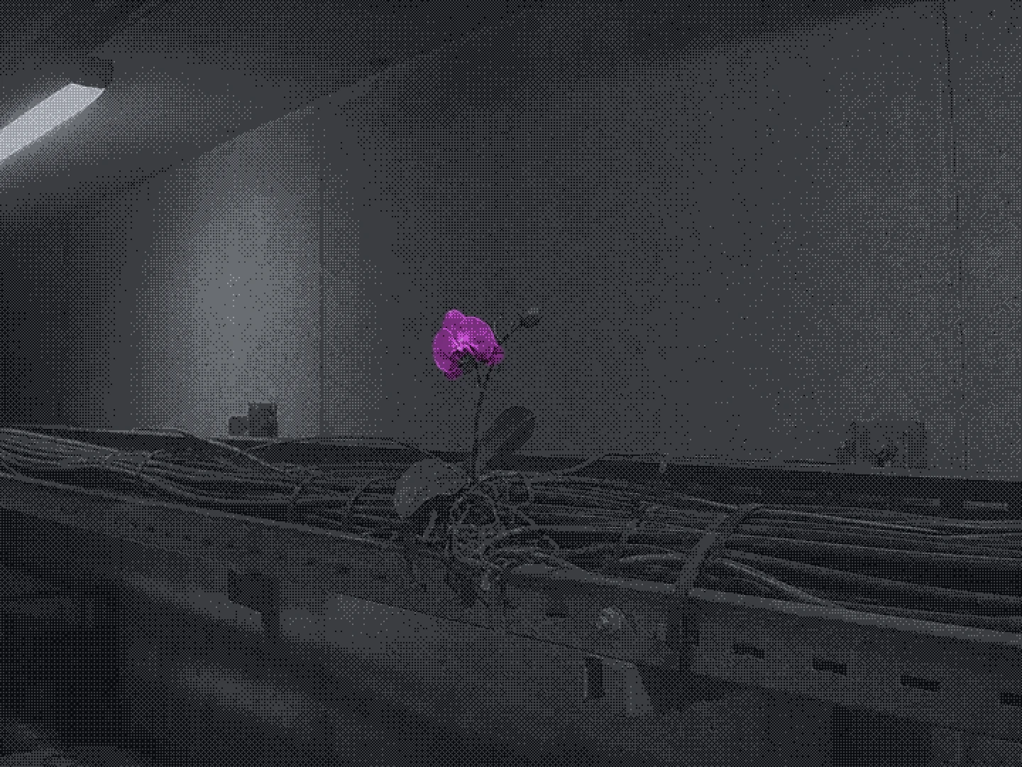 a saturated magenta orchid growing out of a bundled cable tray, roots wrapped around the wiring